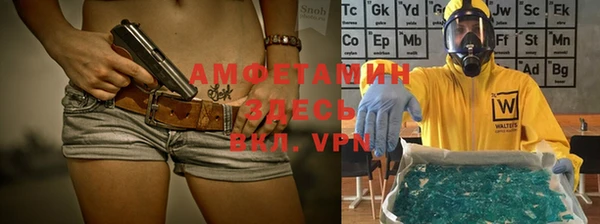 прущие грибы Балахна