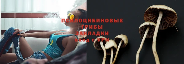 COCAINE Баксан