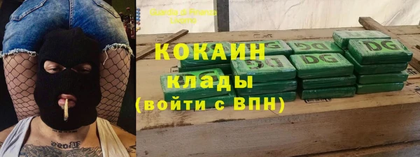 прущие грибы Балахна