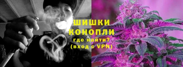 прущие грибы Балахна