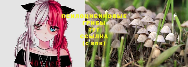 COCAINE Баксан