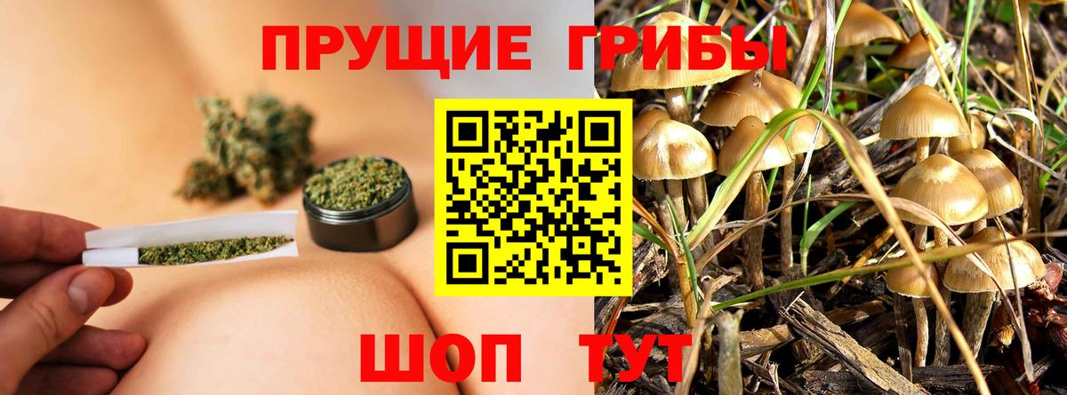 Галлюциногенные грибы ЛСД Гай