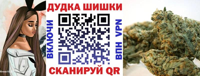 Конопля MAZAR  Гай 